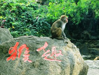 陵水猴岛海南身份证门票多少钱