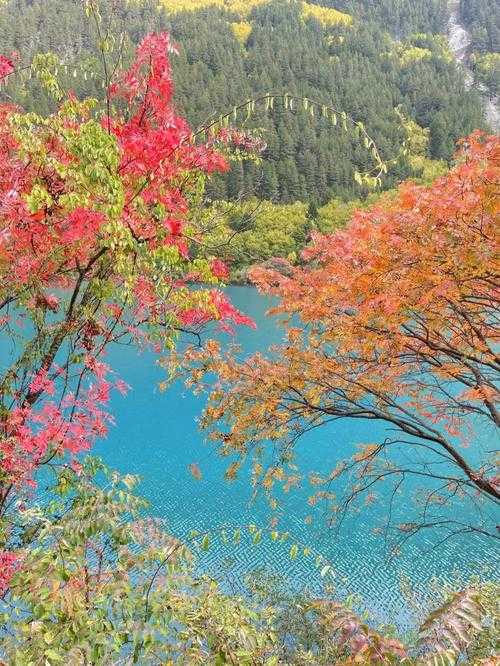 九寨沟风景_九寨沟风景图片高清