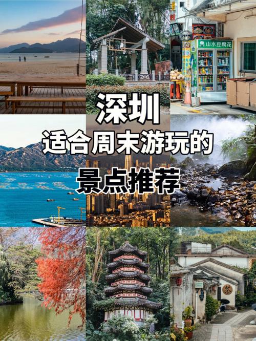 深圳哪里好玩旅游景区免费的_深圳10大景点免费