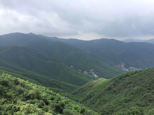 德清莫干山旅游攻略-德清莫干山旅游攻略一日游