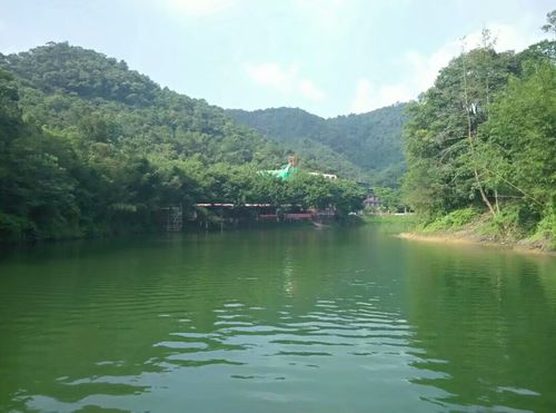 九龙湖风景区_肇庆九龙湖风景区