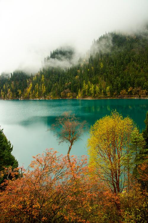 九寨沟景区咨询电话_九寨沟景区的电话